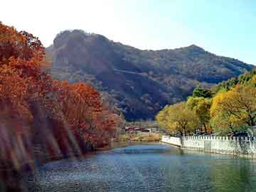 澳门天天开奖免费资料，骑自行车旅游